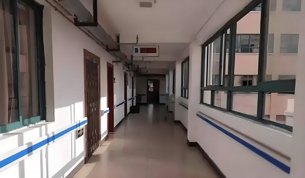 红楼之痴颦泪